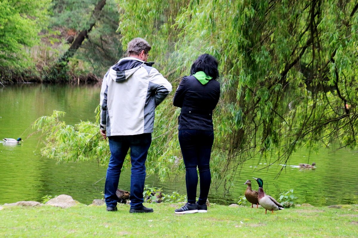 А покормить? - Юрий. Шмаков А покормить? - Юрий. Шмаков