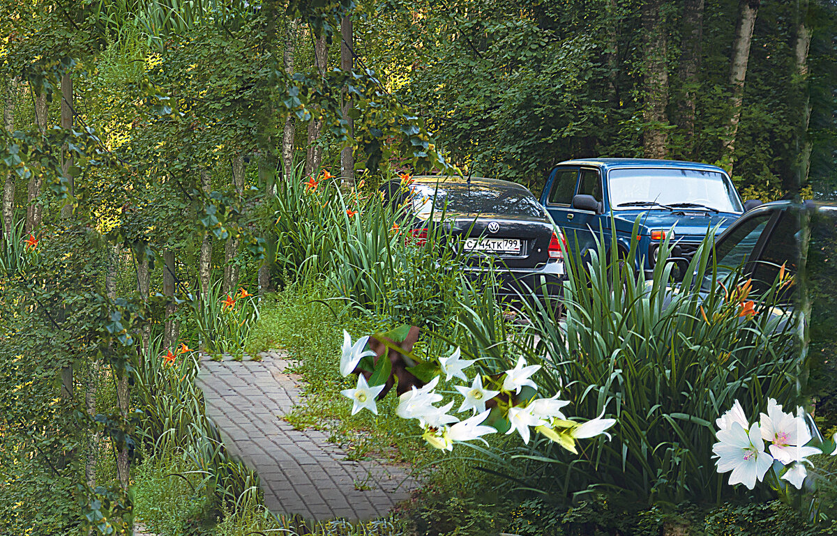 Необычная стоянка - Владимир Кроливец Необычная стоянка - Владимир Кроливец