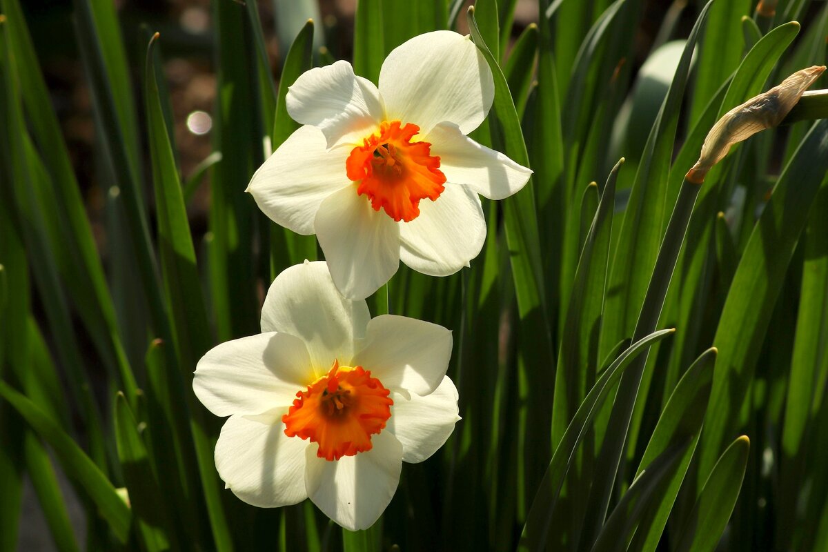 Двое - Юрий. Шмаков Двое - Юрий. Шмаков