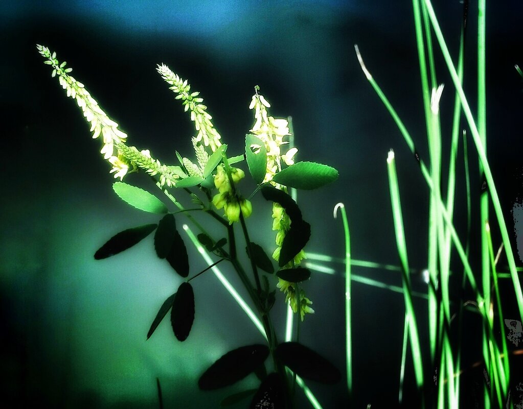 Светотени - Сергей Б.