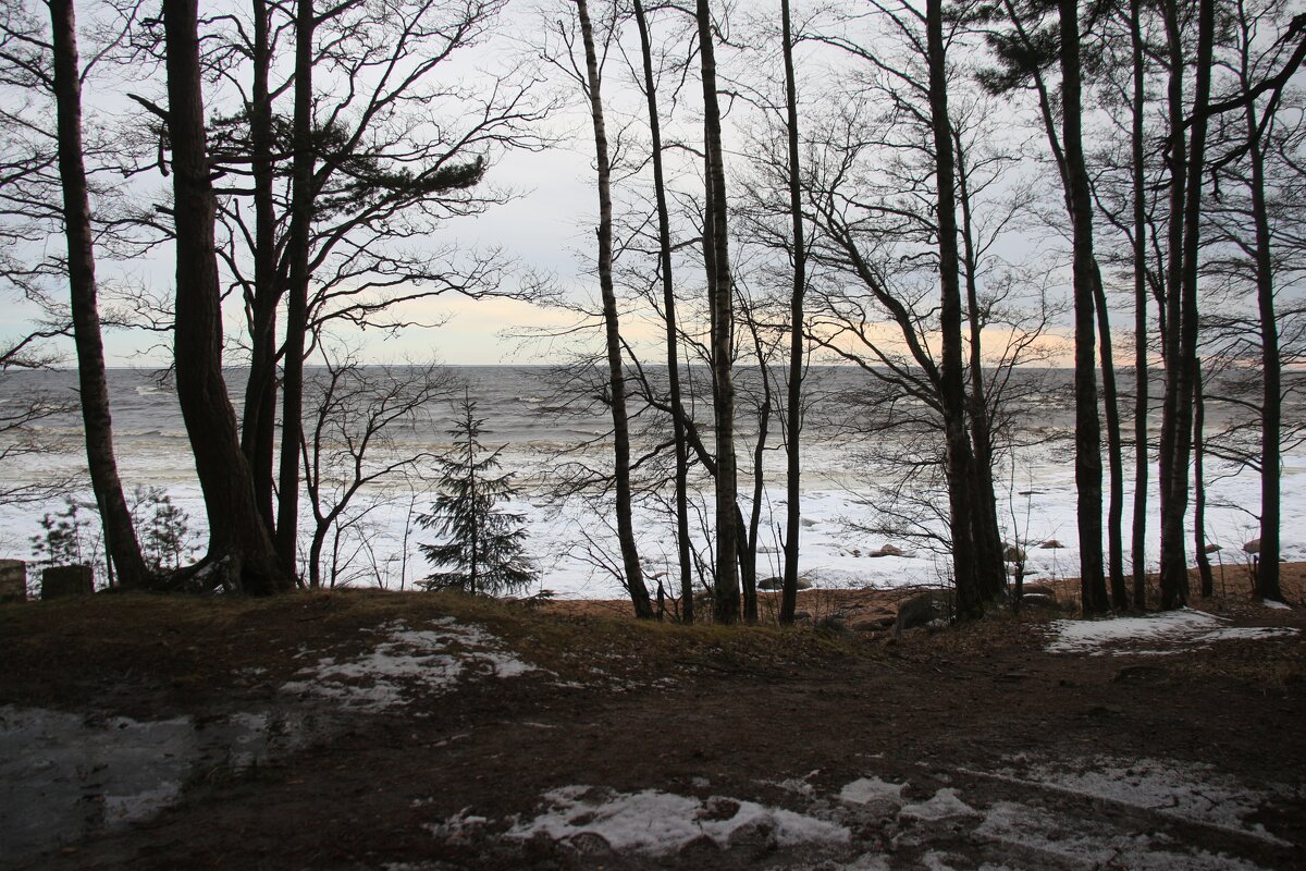 Зеленогорск - Наталья Герасимова Зеленогорск - Наталья Герасимова