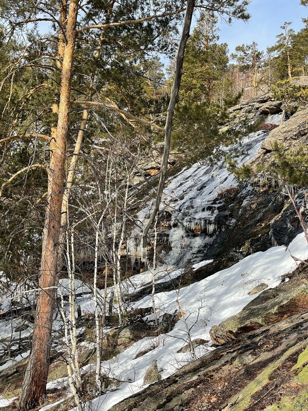 Ещё лежит снег - Георгиевич Ещё лежит снег - Георгиевич