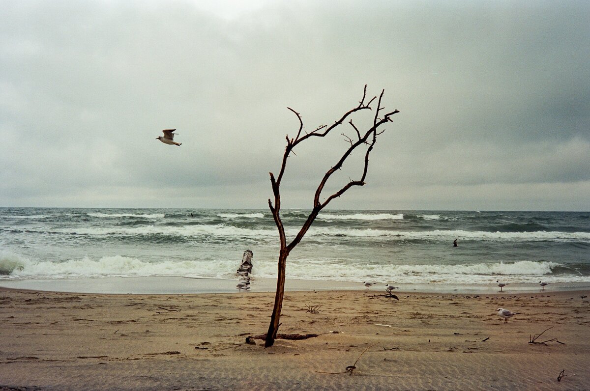 март на Балтике - Сергей Ходаковский 