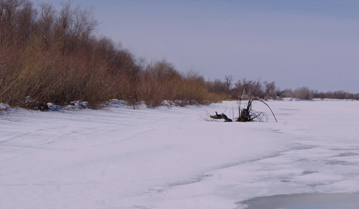 Иртыш в марте. - сергей ермошкин Иртыш в марте. - сергей ермошкин