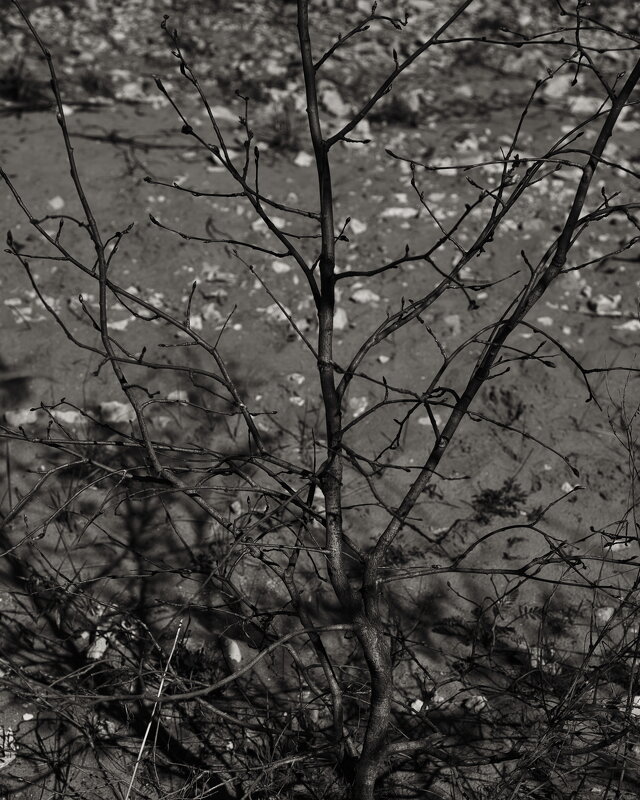 Название отсутствует - Денис Безногов Название отсутствует - Денис Безногов