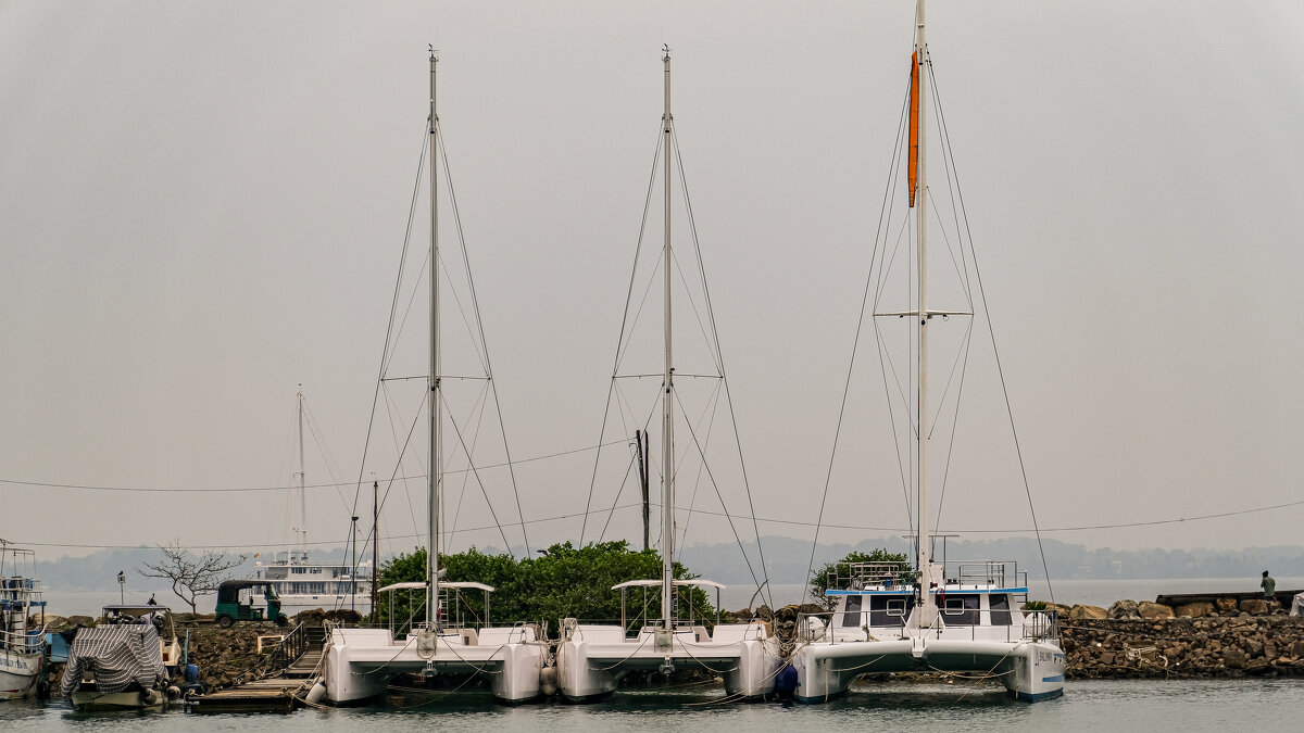 * - Dmitry i Mary S * - Dmitry i Mary S