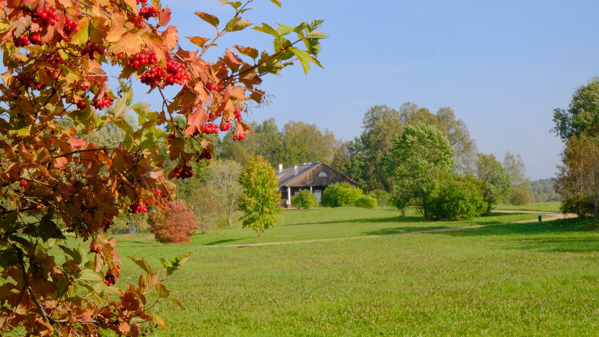 Калина красная - Олег Зоркий