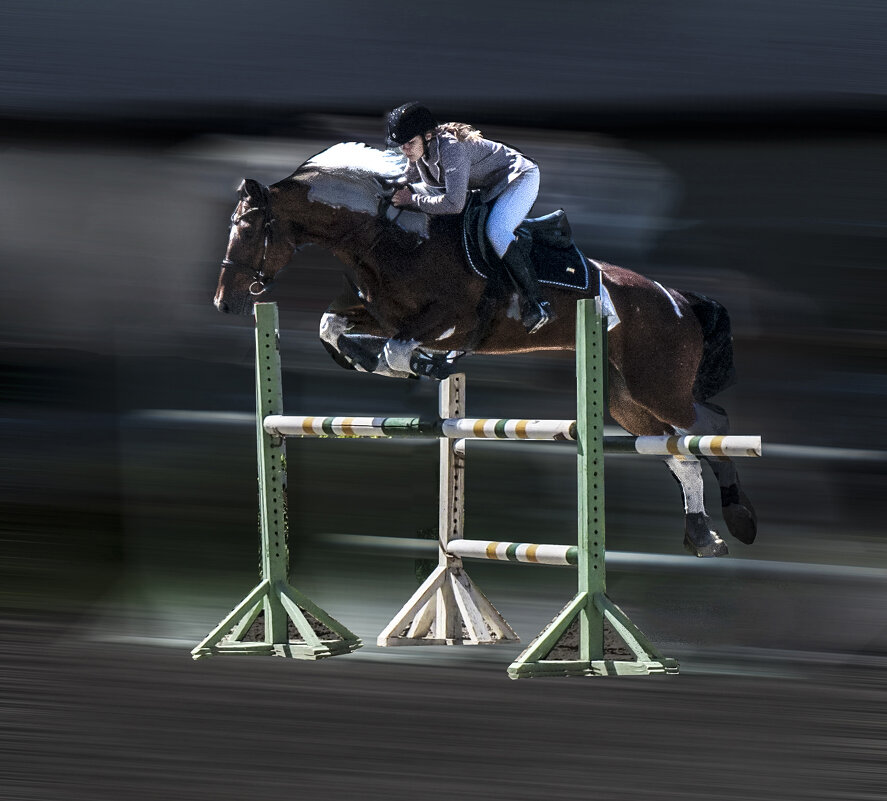 Кокино/ Конкур - Евгений 