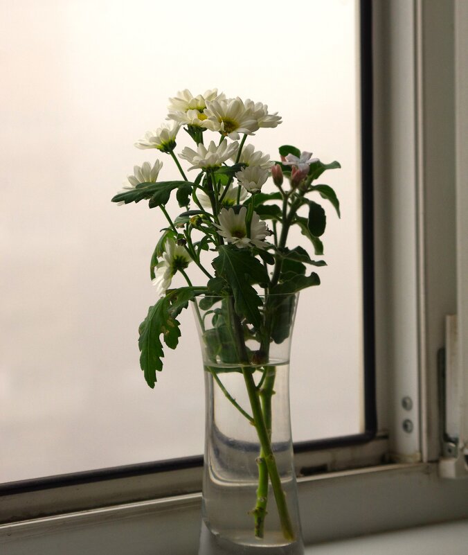 Белое на белом... туман - Юрий Куликов Белое на белом... туман - Юрий Куликов