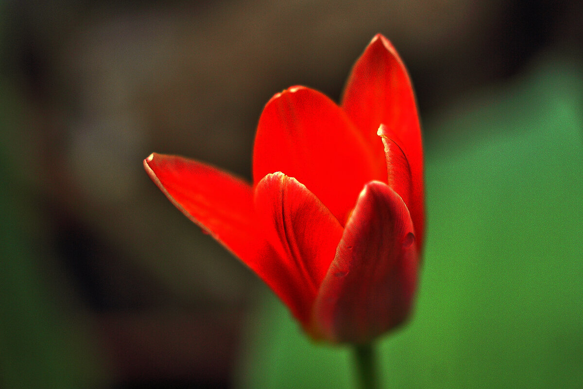 Первый! - Юрий Гайворонскiий