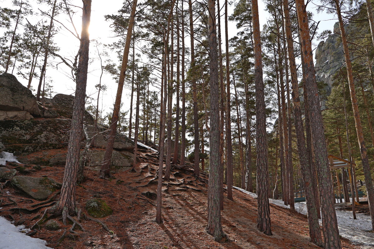 У подножия скалы Окжетпес - Александр Ш