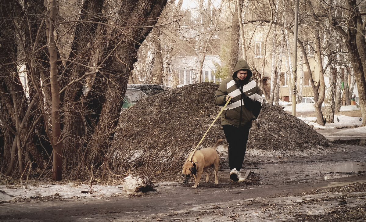 Запахло весной - Сергей Царёв Запахло весной - Сергей Царёв