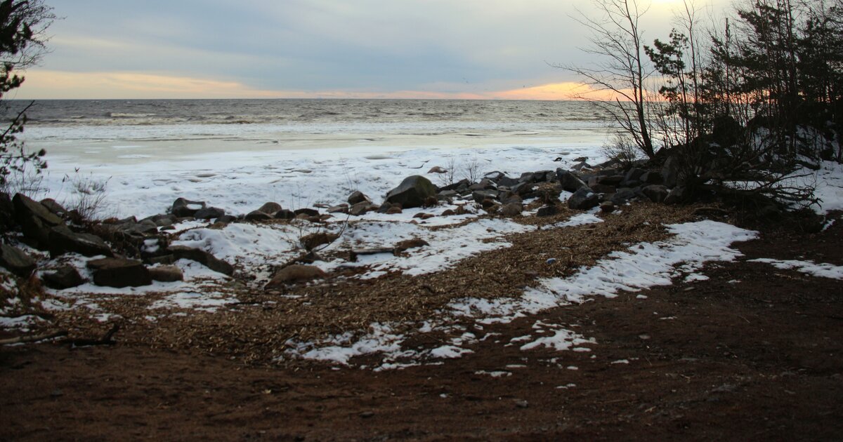 Зеленогорск - Наталья Герасимова