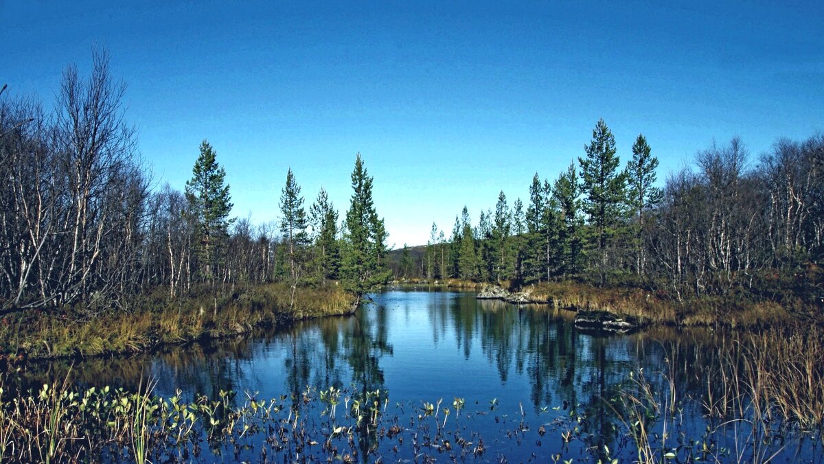 Ручей в Заполярье - Сергей Швечков Ручей в Заполярье - Сергей Швечков