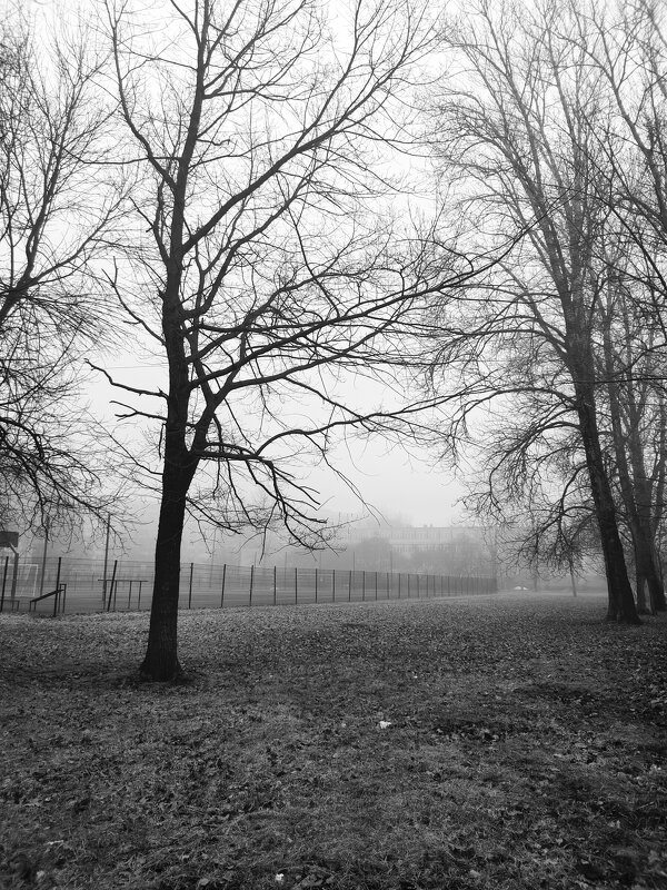 Туман... - Ирина Жигунова Туман... - Ирина Жигунова