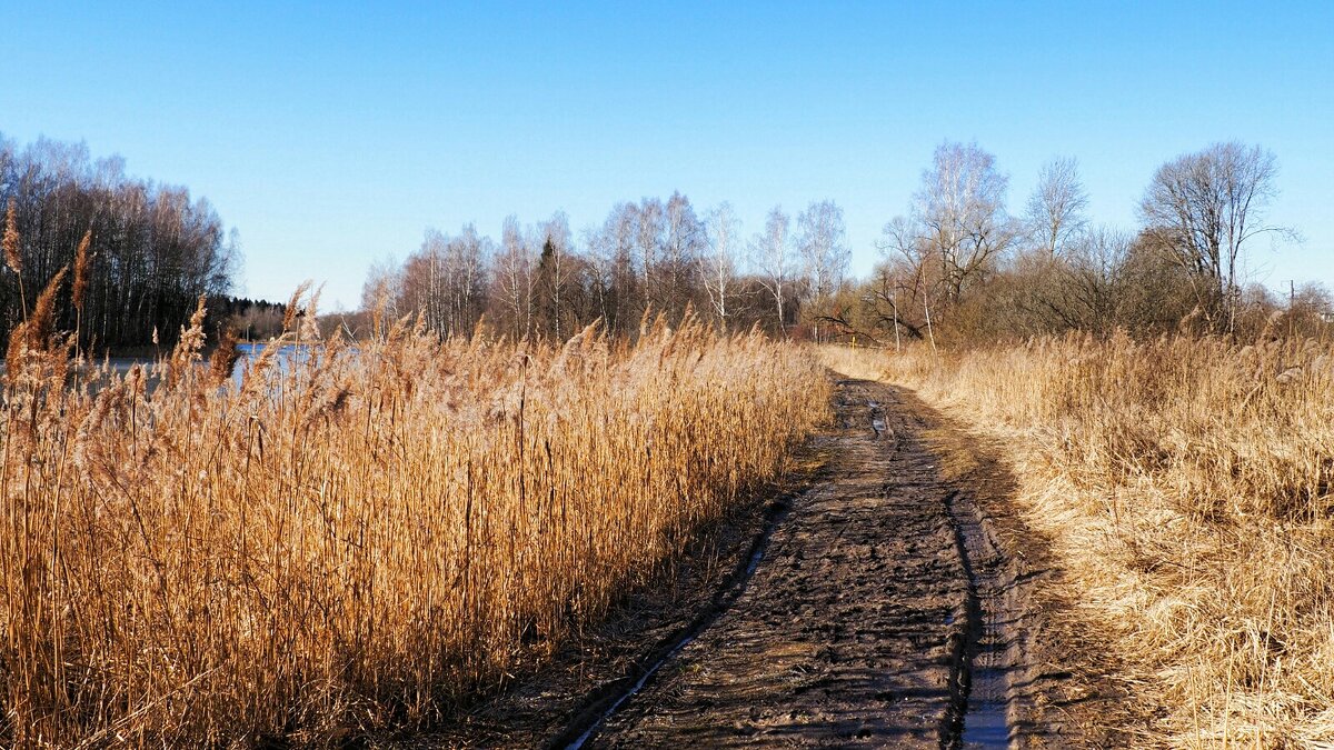 Весна на Смоленщине (репортаж из поездок по области). - Милешкин Владимир Алексеевич 