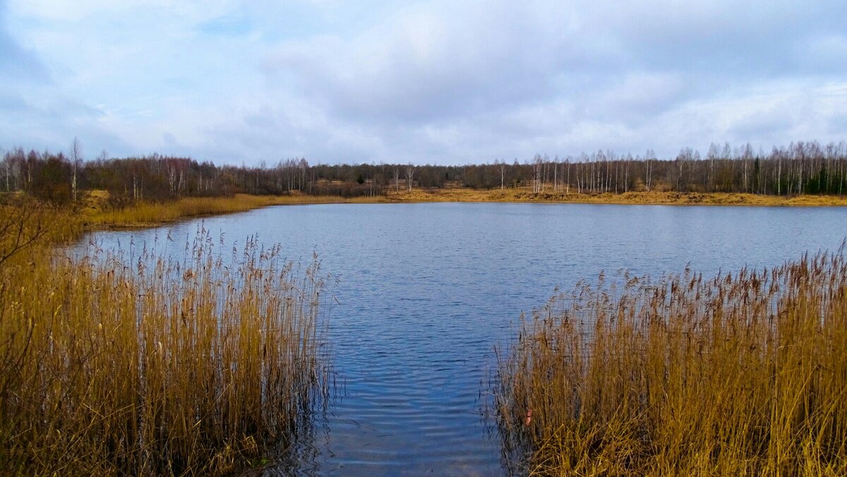 Рыболовное место на озере. - Милешкин Владимир Алексеевич Рыболовное место на озере. - Милешкин Владимир Алексеевич