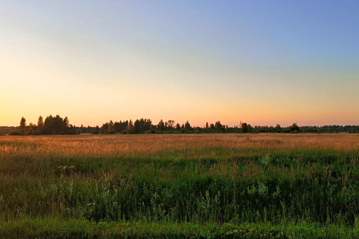 Поле перед аэродромом Гривочки - Артем 