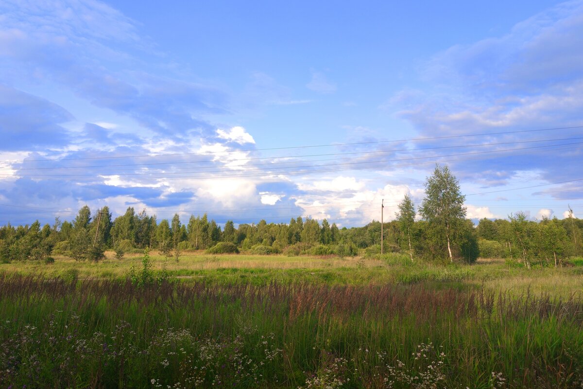 Дорога к мемориалу ВОВ - Артем 