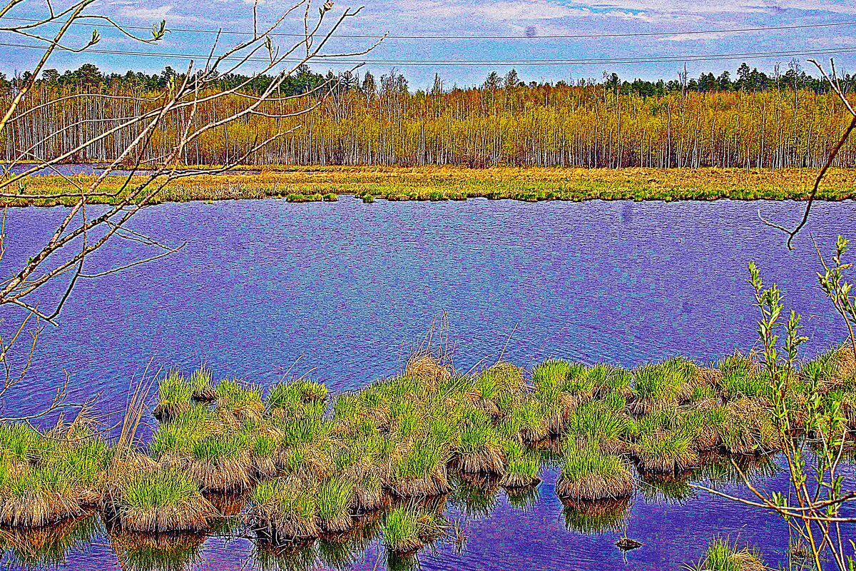 Май...Протока. Зеленеющие кочки! - Владимир Май...Протока. Зеленеющие кочки! - Владимир