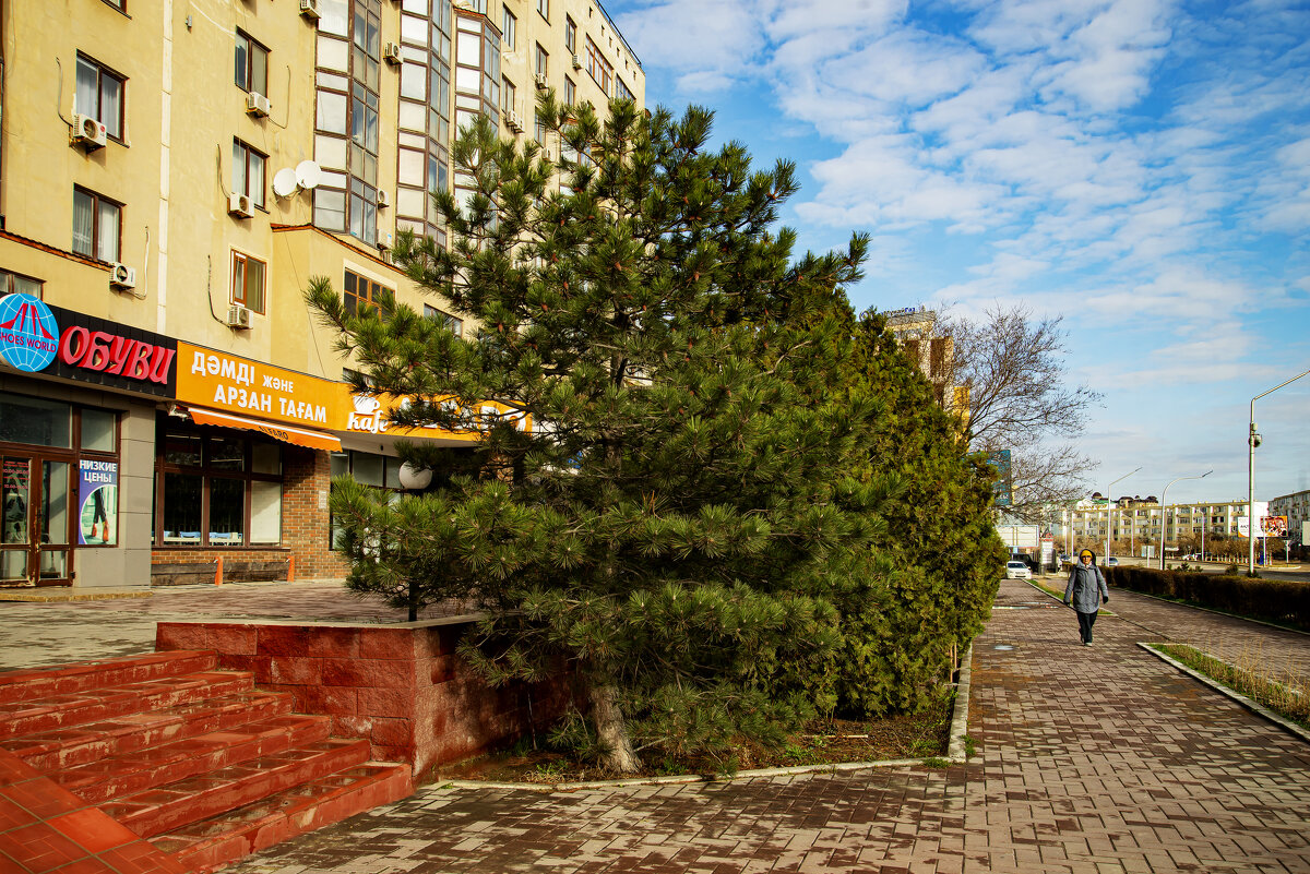 Весна - Анатолий Чикчирный