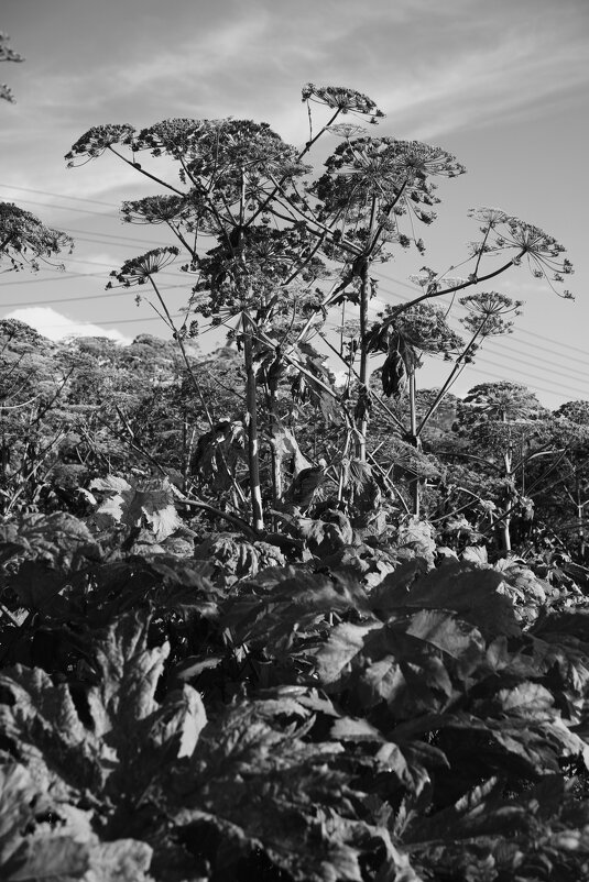 Название отсутствует - Денис Безногов