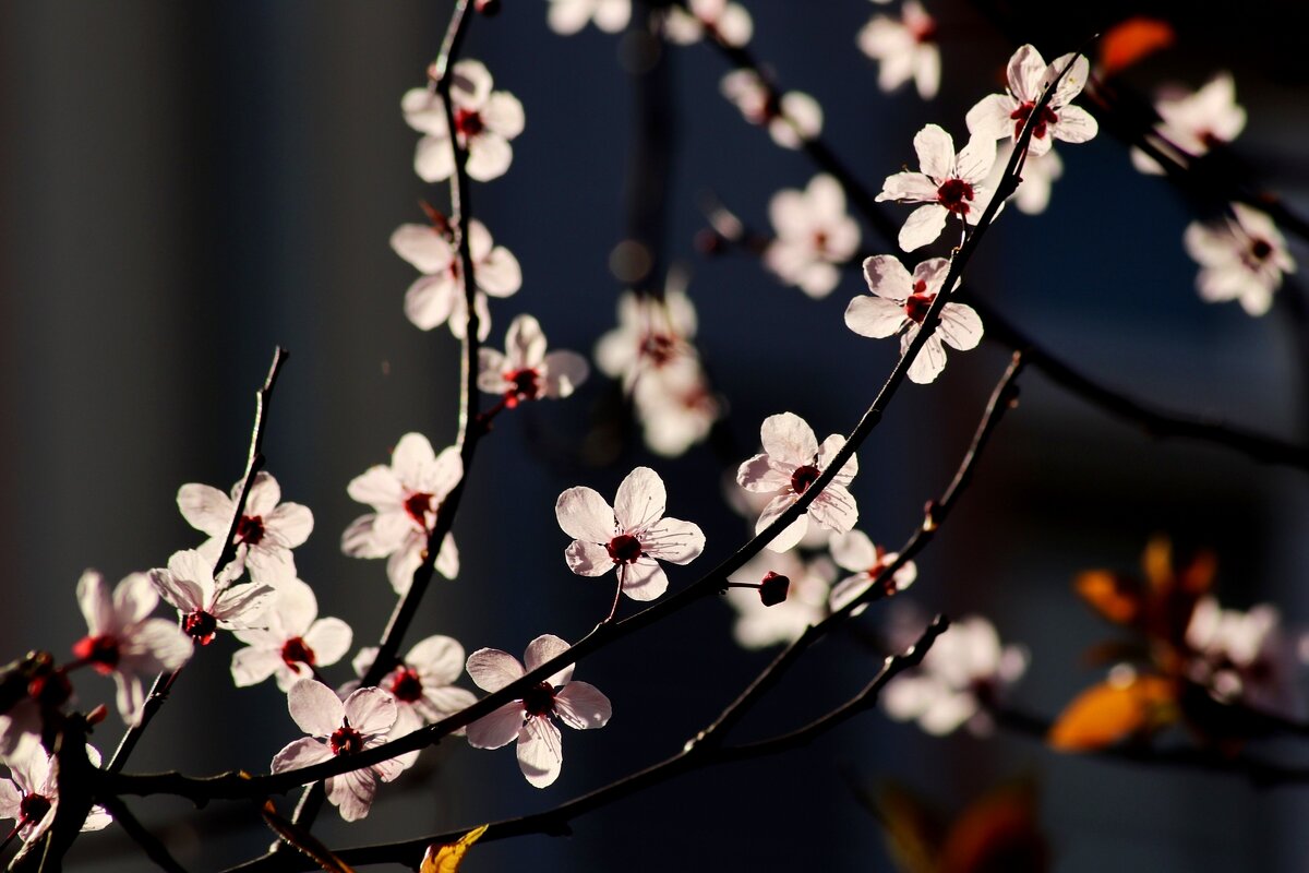 Доброе утро - Юрий. Шмаков