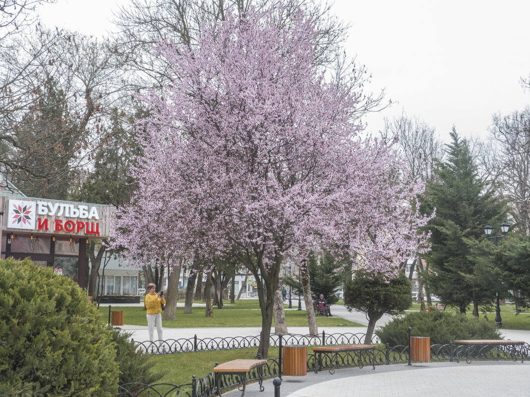 Весенний парк Тренёва - Валентин Семчишин Весенний парк Тренёва - Валентин Семчишин