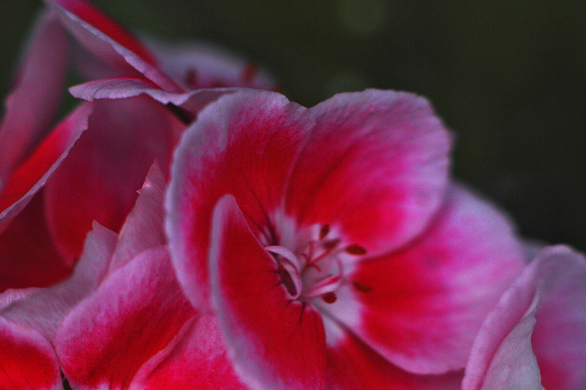 На окне - Юрий Гайворонскiий