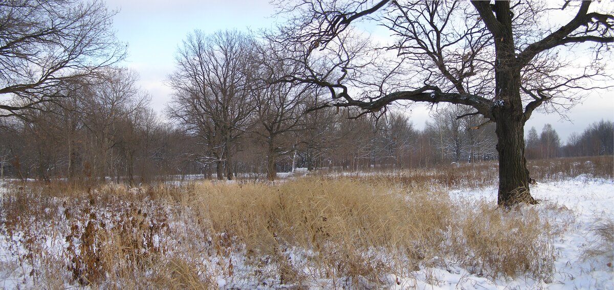 Ещё панорама. - Николай ntv