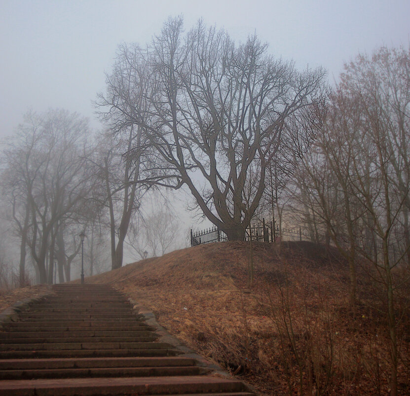 *** - Сергей Григорьев