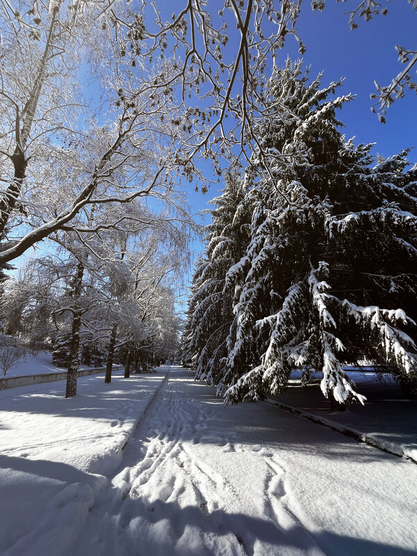 Одним зимним днём - Батик Табуев Одним зимним днём - Батик Табуев