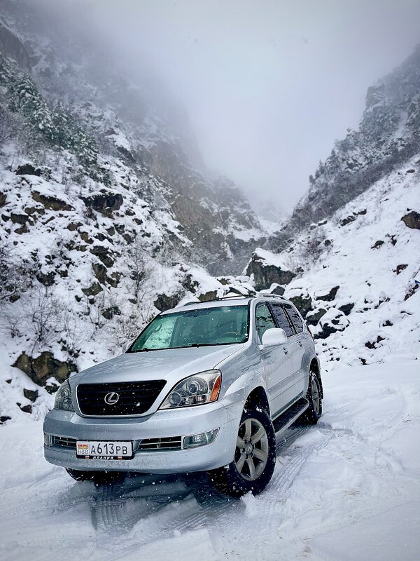 Мой зверь - Батик Табуев