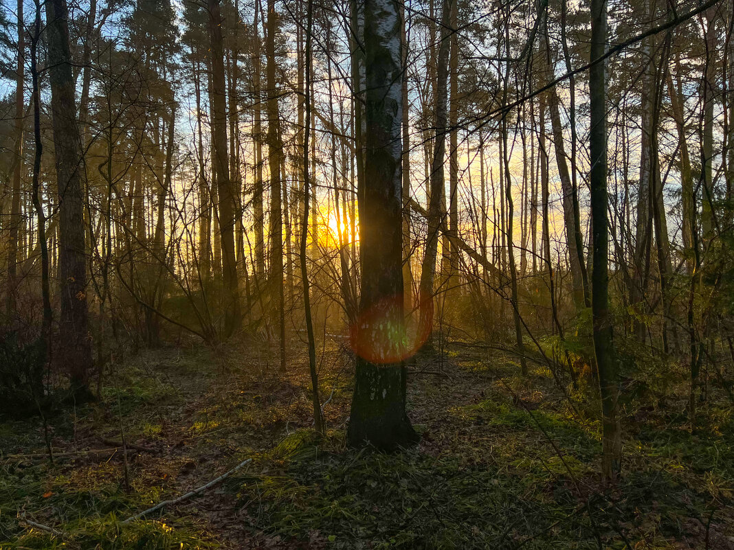 Восход - Алексей Чуркин