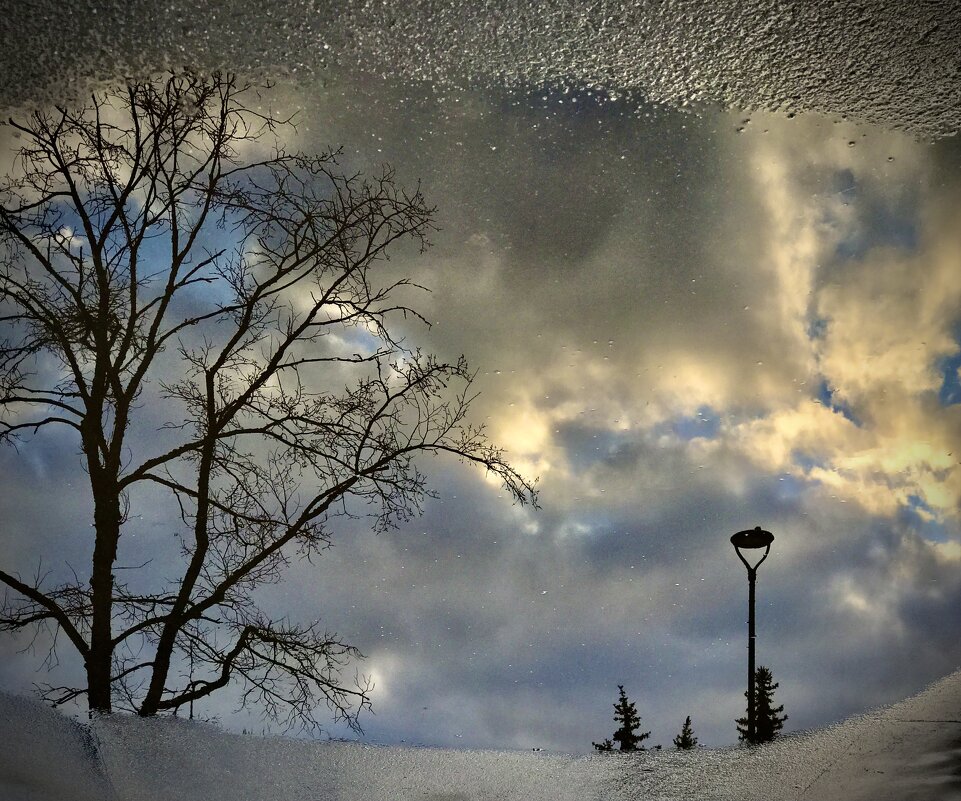 Наземное оконце. - Любовь Наземное оконце. - Любовь