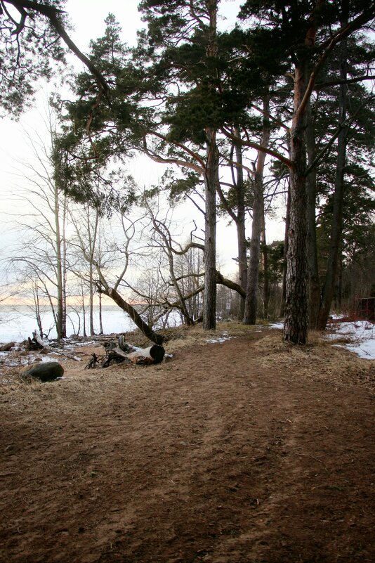 Зеленогорск - Наталья Герасимова Зеленогорск - Наталья Герасимова