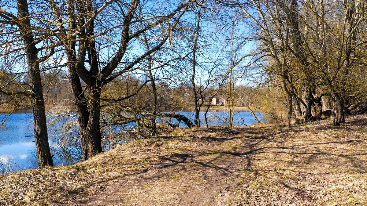 Природа в конце марта (репортаж из поездок по области). - Милешкин Владимир Алексеевич 