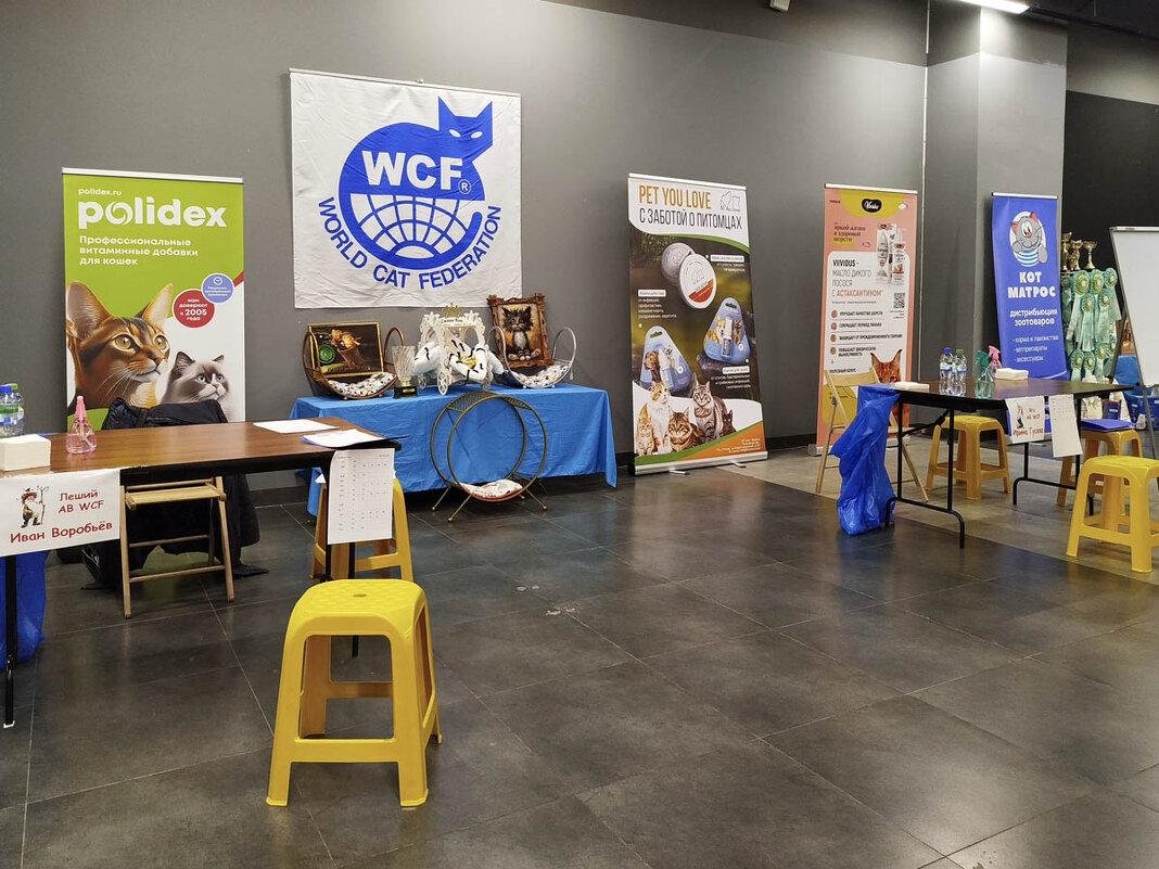 ГАГАРИНСКИЕ_КОШКИ_1 - Сергей Янович Микк