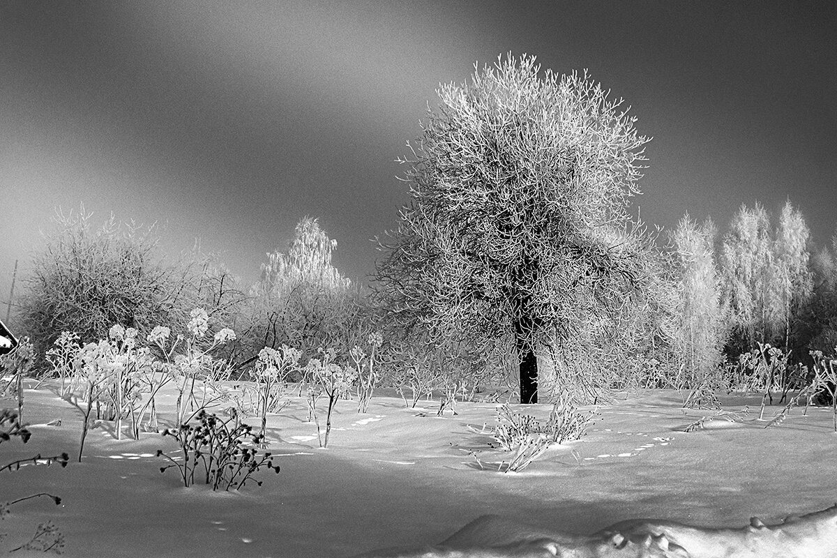 Освящение . - Максимус Кунгурский