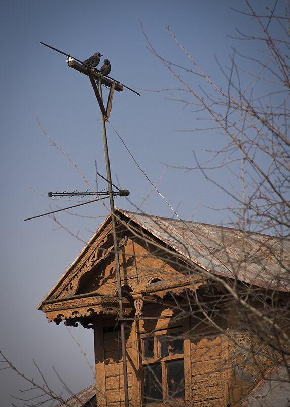 Весна - Владимир Носов Весна - Владимир Носов