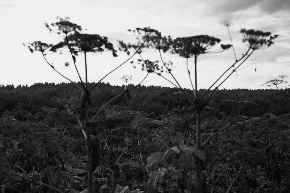 Название отсутствует - Денис Безногов Название отсутствует - Денис Безногов