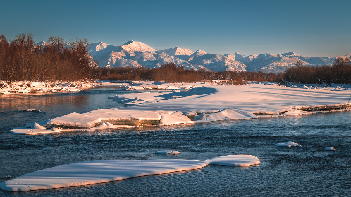 ... - Жора Житников ... - Жора Житников