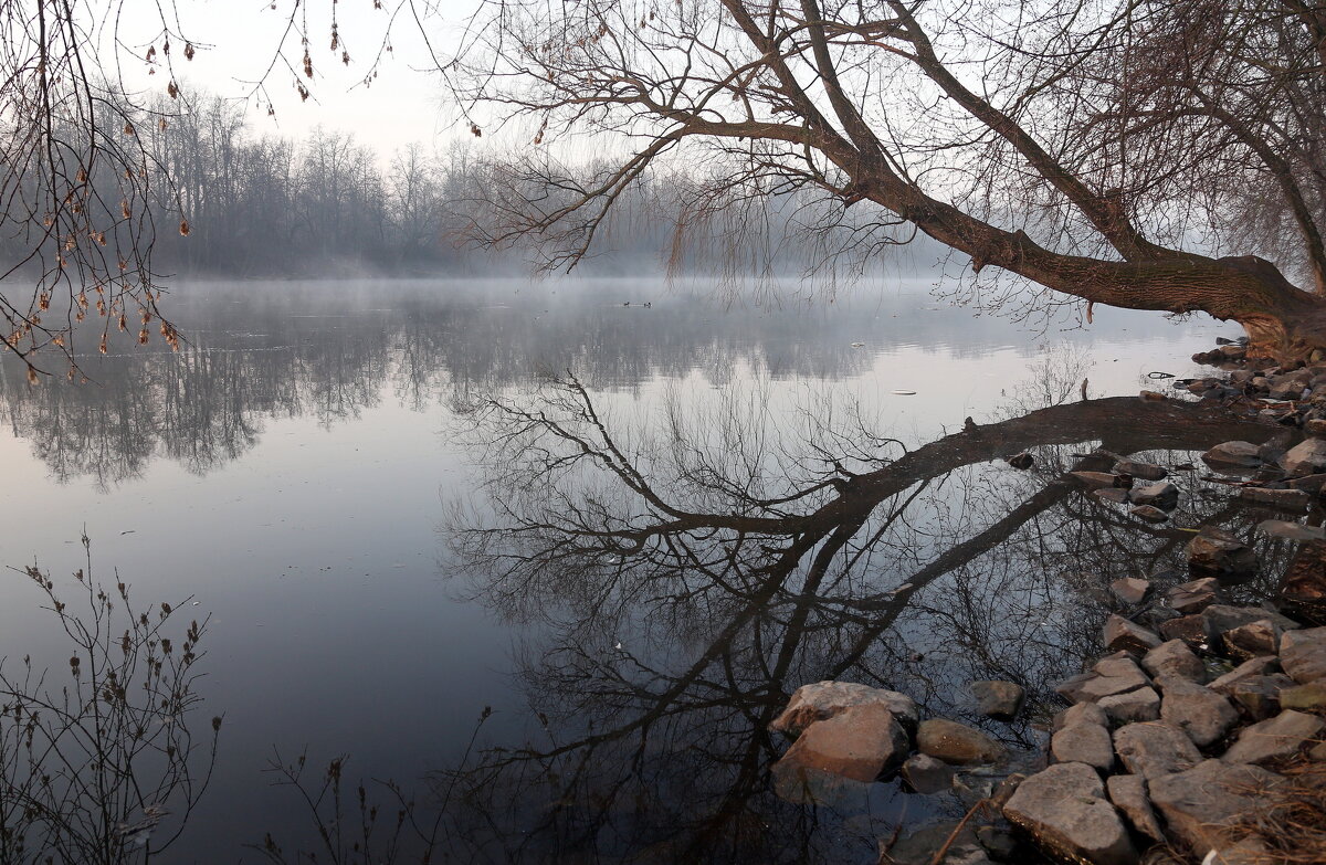 Коломенская набережная утром 29 марта - Михаил Бибичков Коломенская набережная утром 29 марта - Михаил Бибичков
