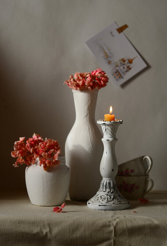 С прошлогодней геранью. - Оксана Евкодимова С прошлогодней геранью. - Оксана Евкодимова