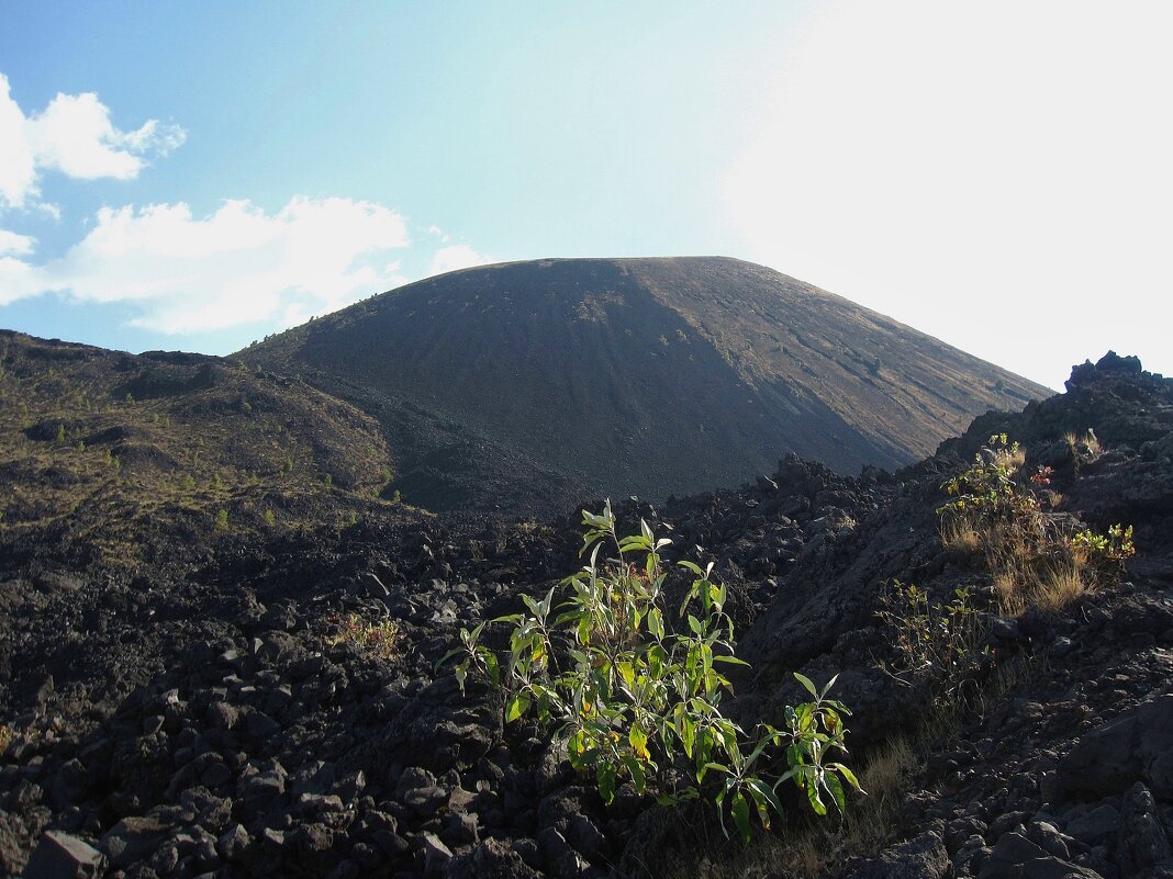 Вулкан Парикутин, Мексика. - unix (Илья Утропов) Вулкан Парикутин, Мексика. - unix (Илья Утропов)