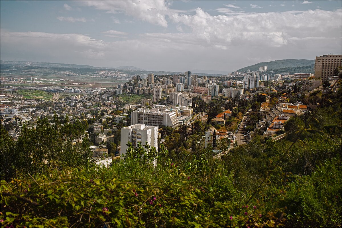 Хайфа ,2025г Краски Израиля - ujgcvbif 