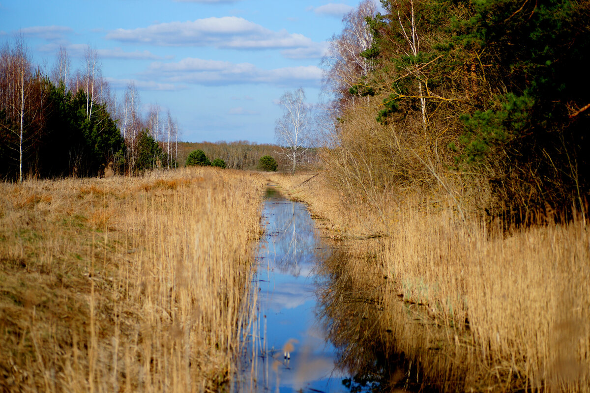 сегодня на даче 2 - Александр Прокудин сегодня на даче 2 - Александр Прокудин