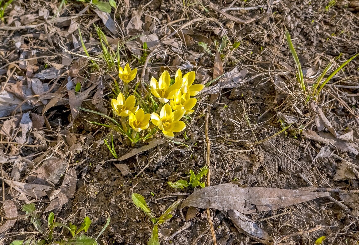 Мартовские - Валерий Иванович Мартовские - Валерий Иванович