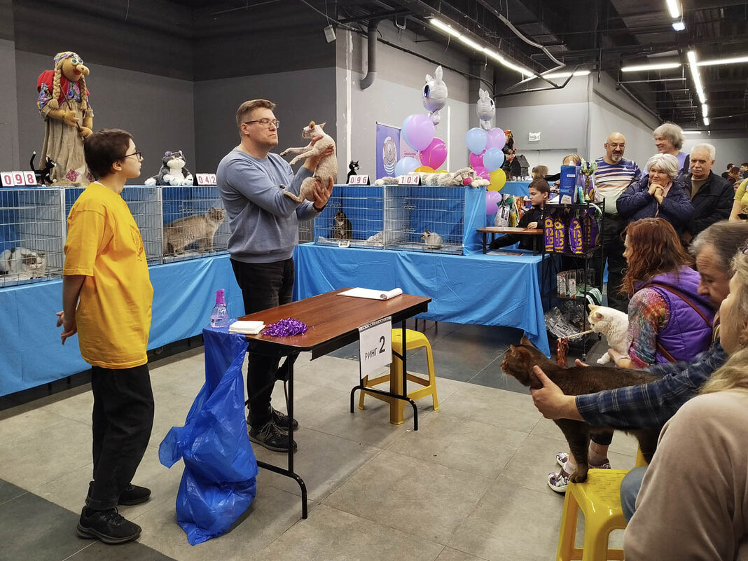 ГАГАРИНСКИЕ_КОШКИ_10 - Сергей Янович Микк ГАГАРИНСКИЕ_КОШКИ_10 - Сергей Янович Микк