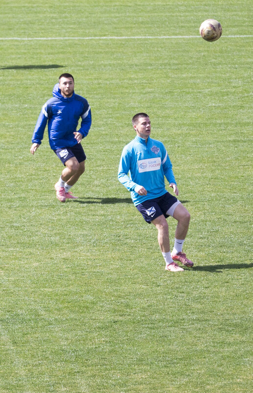 Случайный репортаж - Светлана Тихонина Случайный репортаж - Светлана Тихонина